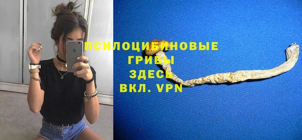 стаф Беломорск